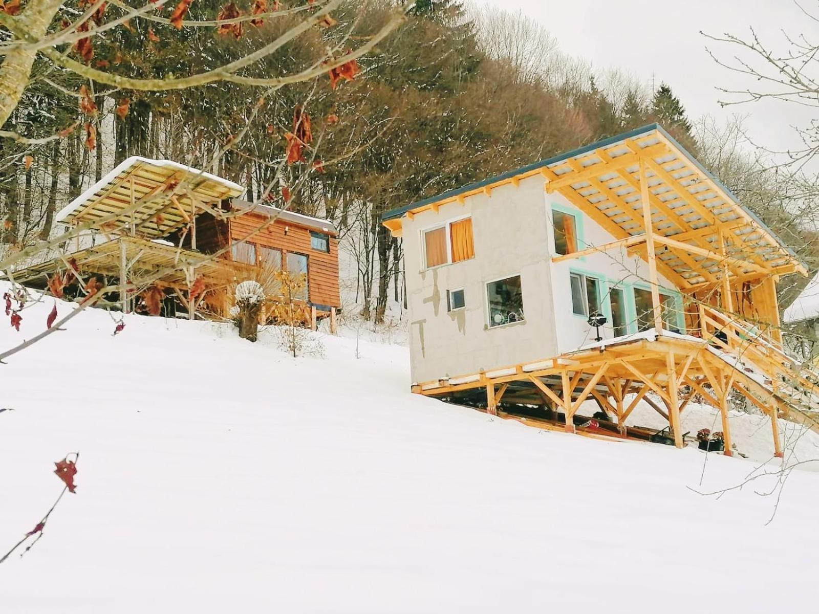 Rainbow Chalet บราน ภายนอก รูปภาพ