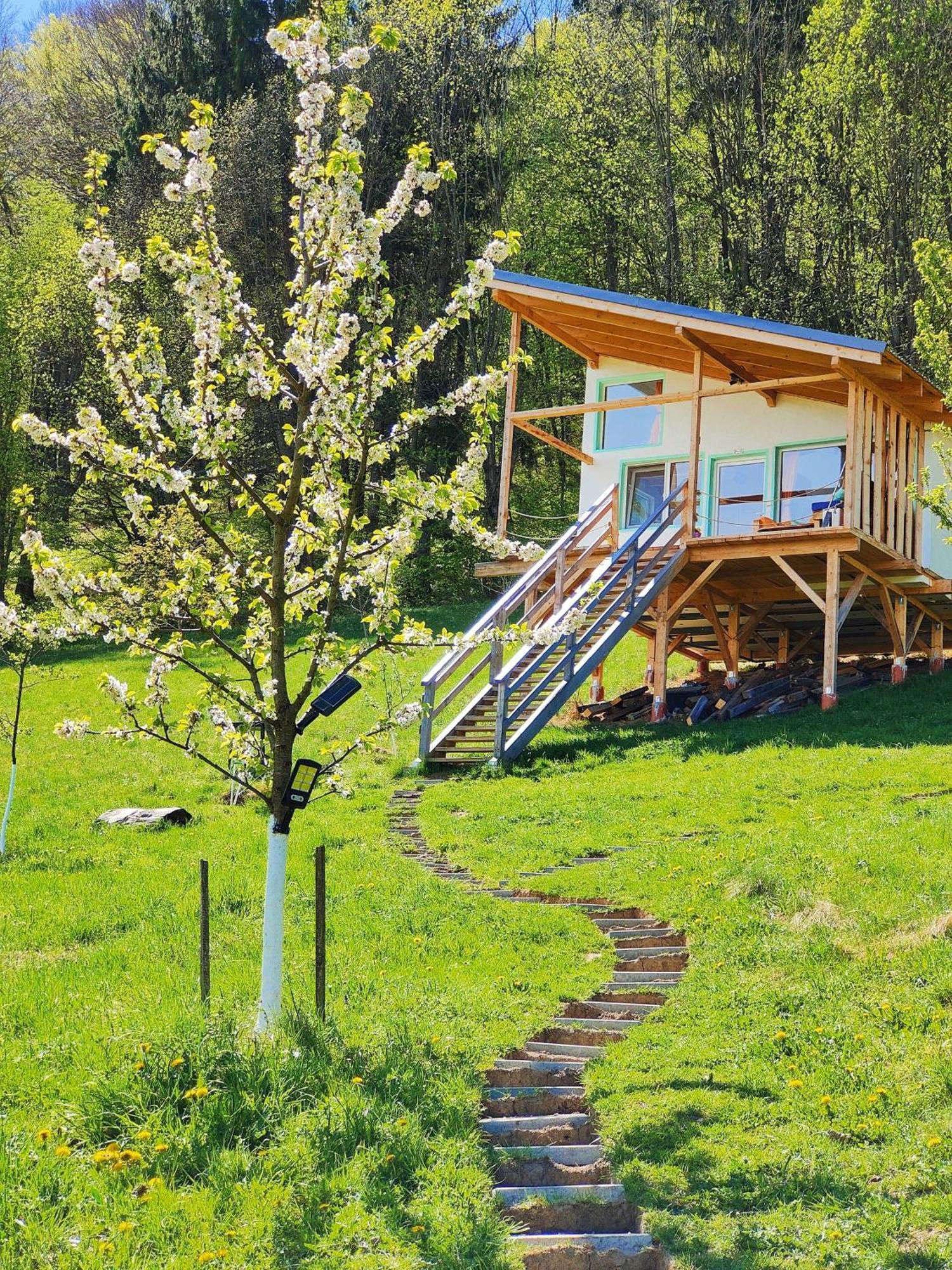 Rainbow Chalet บราน ภายนอก รูปภาพ